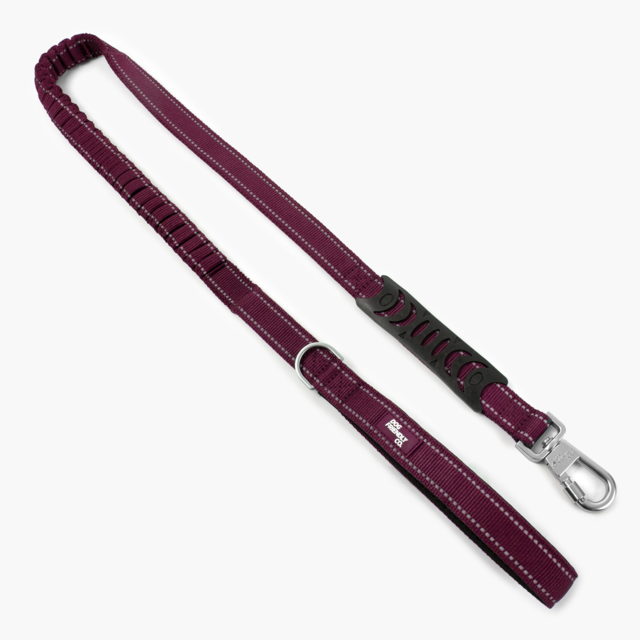 Dog Friendly Co. Premium Bungee Dog Leash  - Product Image 2