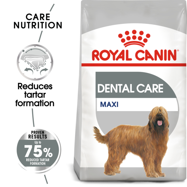 Royal Canin Maxi Dental Care Dry Dog Food - Product Image 1