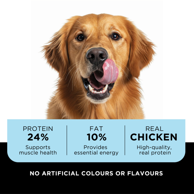 Wild Paw Adult Chicken Dry Dog Food - Product Image 1