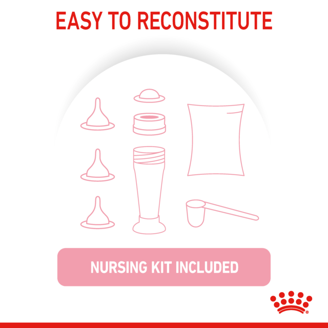Royal Canin Babycat Milk - Product Image 4
