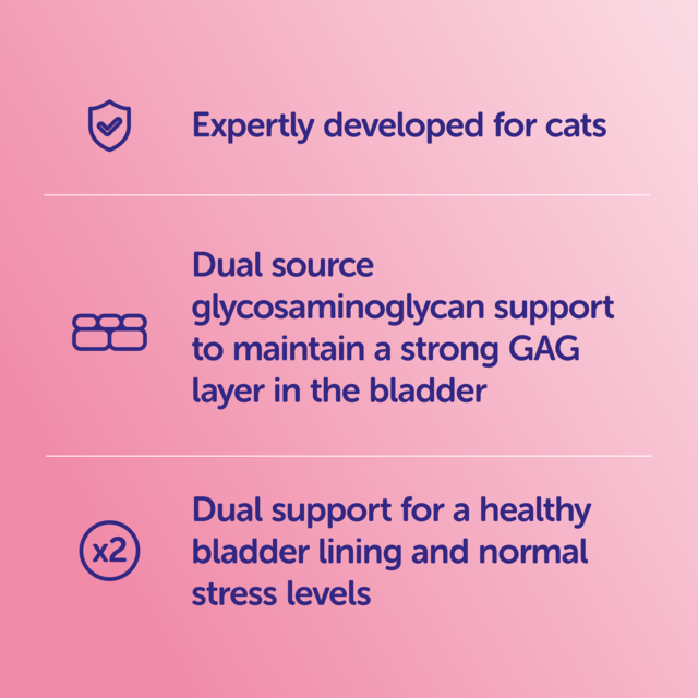 Protexin Veterinary Cystophan Daily Supplement Capsules for Cats - Product Image 2