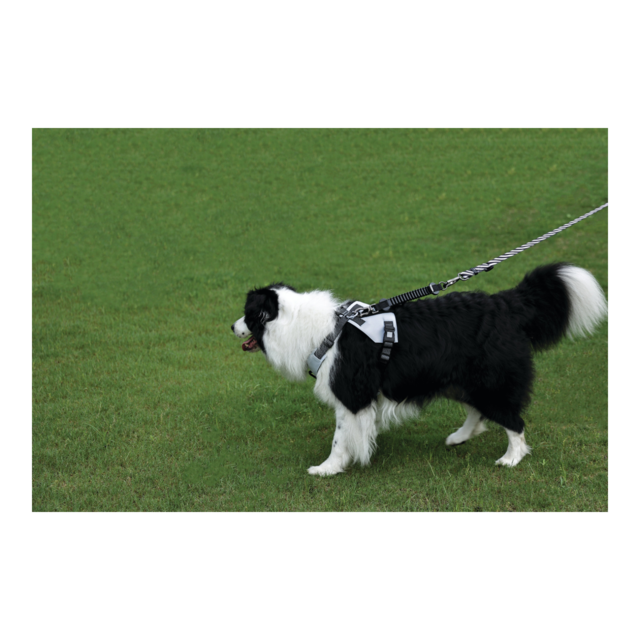M-PETS Dog Lead Shock Absorber Extension - Product Image 6