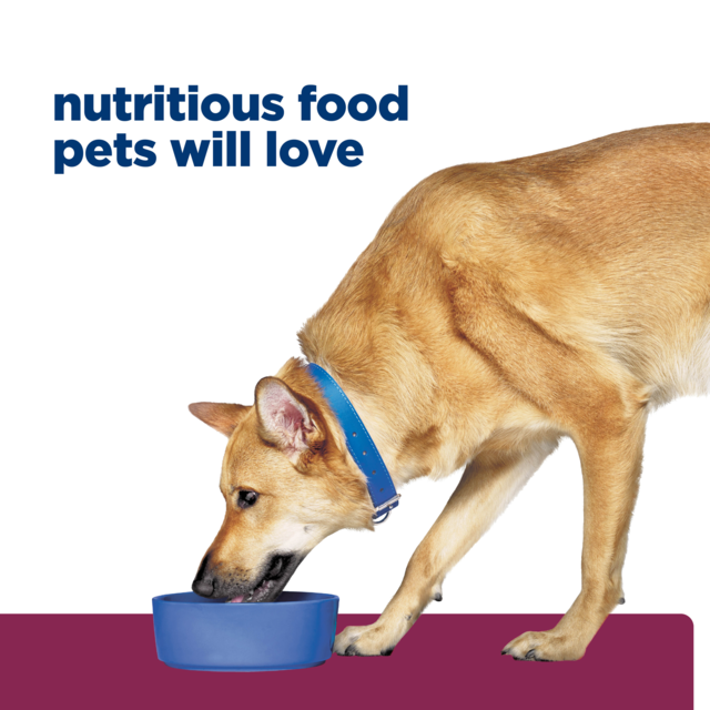 Hill's Prescription Diet i/d Digestive Care Dry Dog Food - Product Image 12