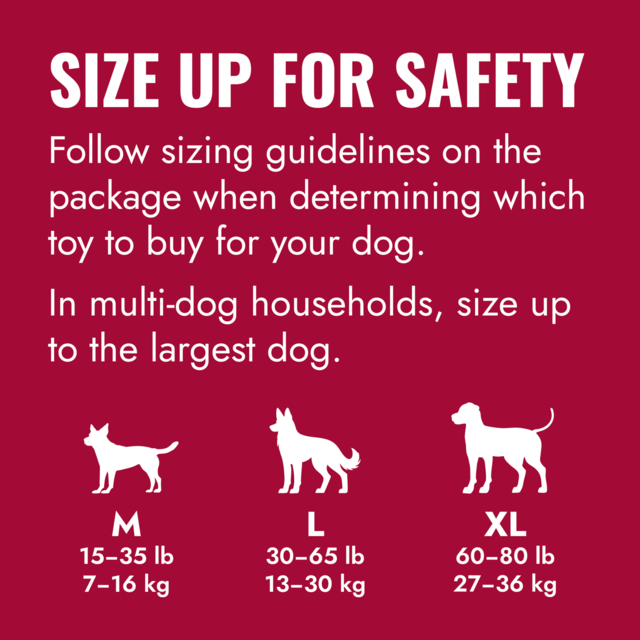 KONG Goodie Bone Classic Dog Toy - Product Image 4