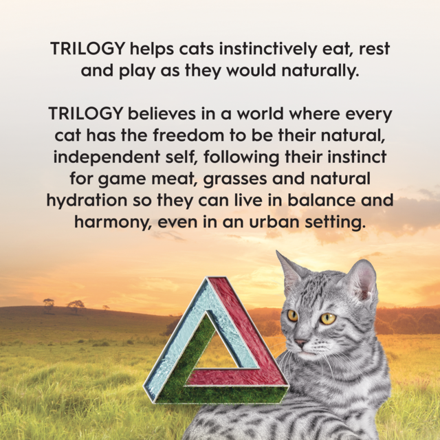 Trilogy Grain Free Kangaroo & Freeze Dried Lamb Adult Dry Cat Food - Product Image 10