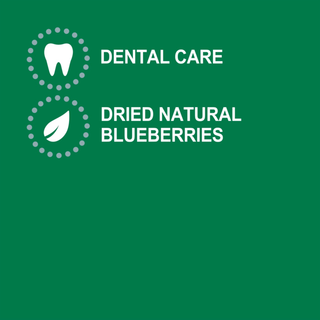 Greenies Blueberry Dental Dog Treats - Product Image 1