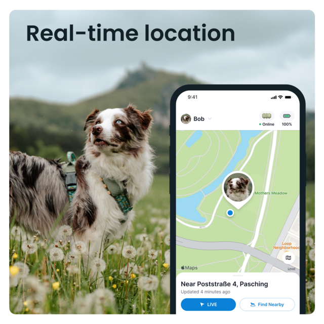 Tractive Dog XL GPS Tracker - Product Image 5