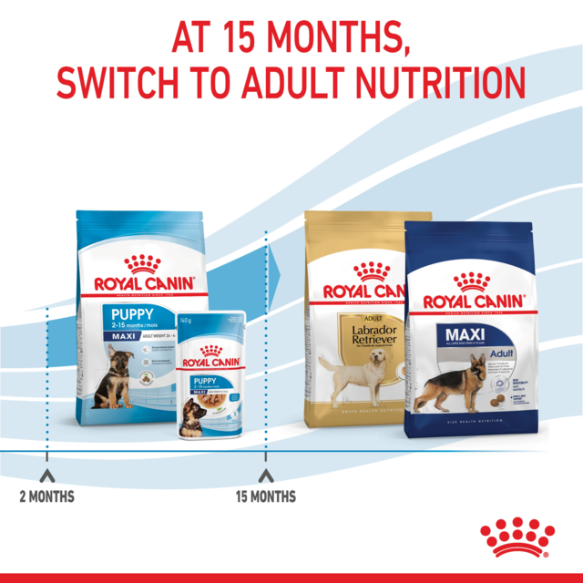 Royal Canin Maxi Puppy Dry Dog Food Trial Bag - Product Image 7