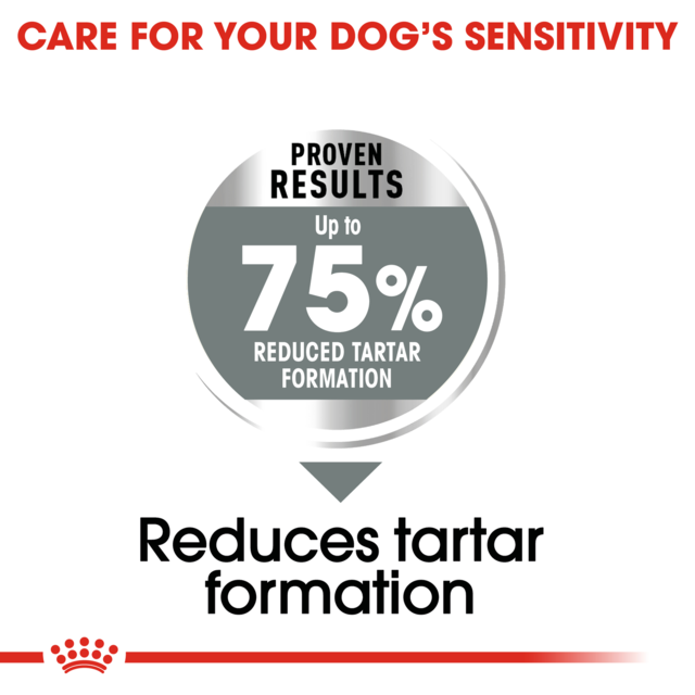 Royal Canin Maxi Dental Care Dry Dog Food - Product Image 4