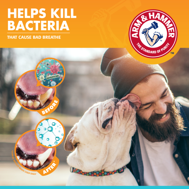 Arm & Hammer Fresh Breath Chicken Enzymatic Toothpaste for Dogs - Product Image 4