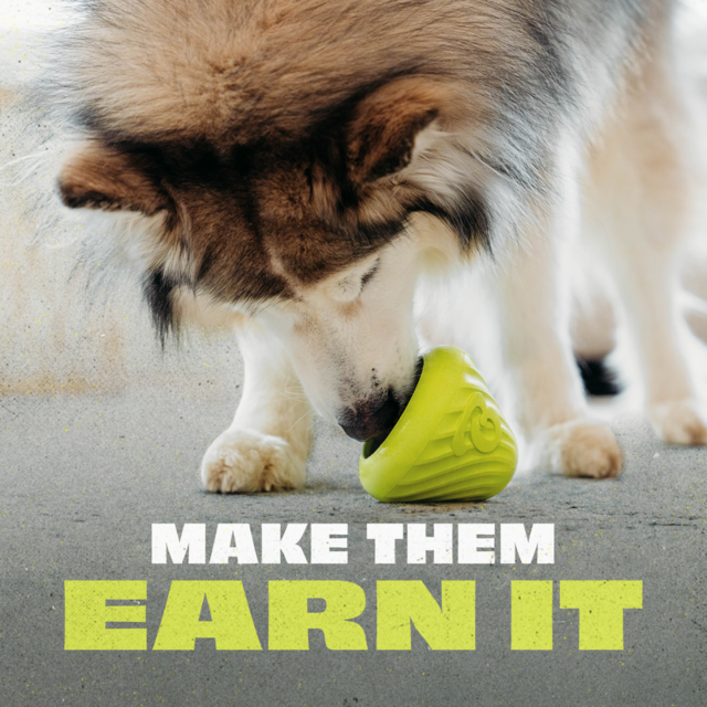 Benebone Bounce Cone Dog Toy - Product Image 4