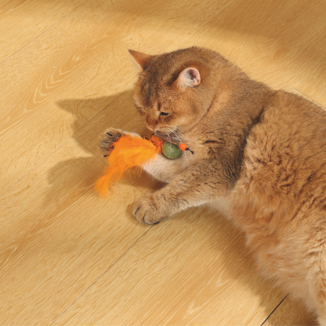 M-PETS Charmy Bugbear Catnip Cat Toy - Product Image 2