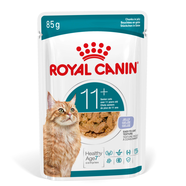 Royal Canin Ageing 11+ in Jelly Wet Cat Food - Product Image 1