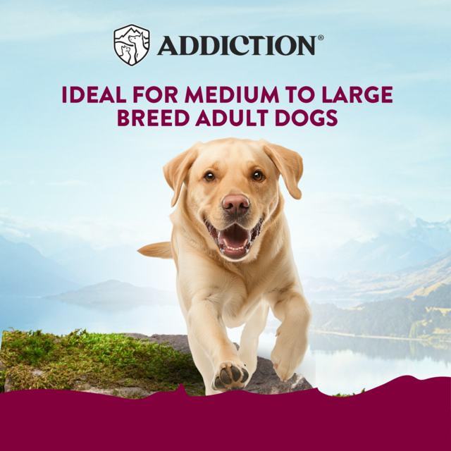 Addiction MEGA Country Chicken Dinner Loaf Wet Dog Food - Product Image 2