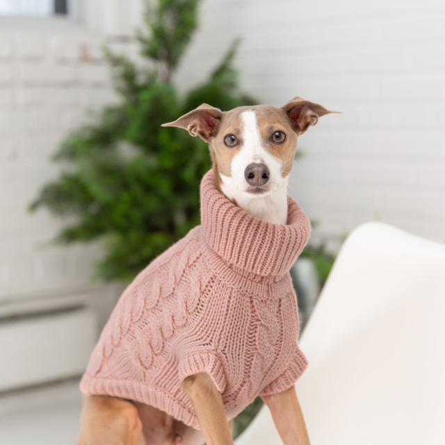 GF Pet Chalet Sweater - Product Image 2