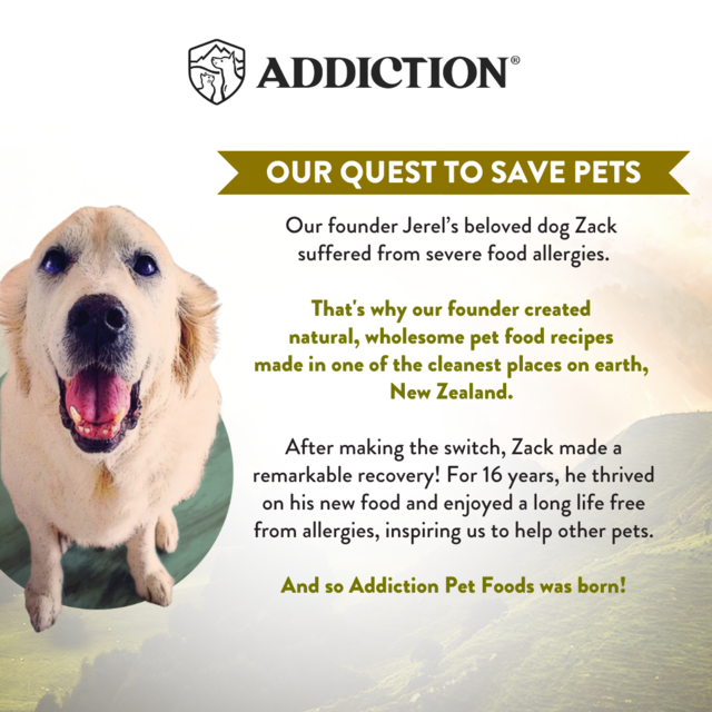 Addiction Wild Islands Highland Beef & Lamb Grain-Free Wet Dog Food - Product Image 9