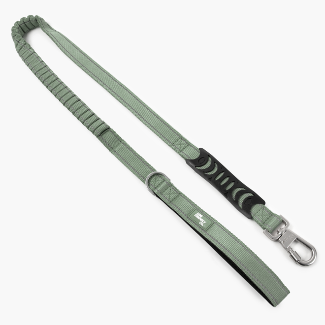 Dog Friendly Co. Premium Bungee Dog Leash  - Product Image
