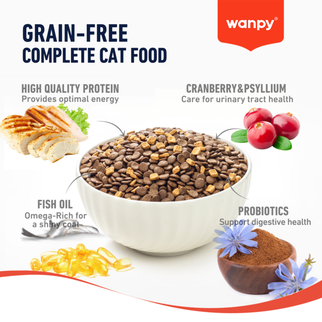 Wanpy Grain Free Adult Chicken Recipe Dry Cat Food - Product Image 2
