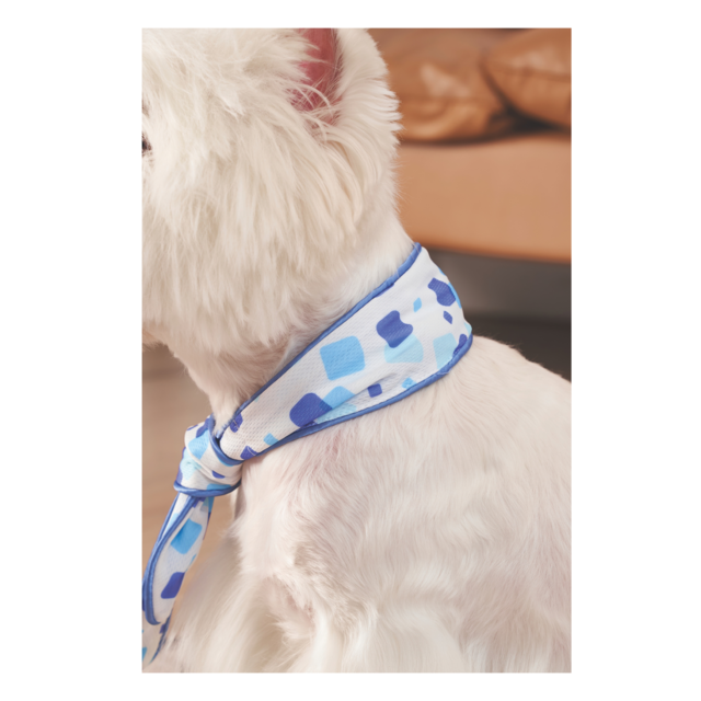 M-PETS Cooling Dog Scarf - Product Image 4