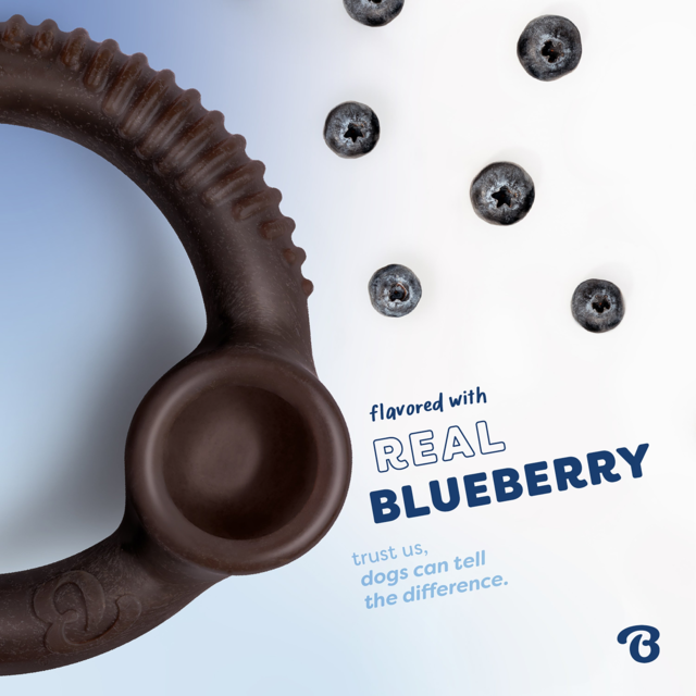 Benebone Blueberry Ring  Dog Chew Toy - Product Image 6