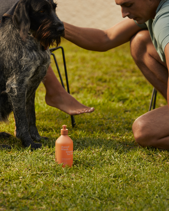 Ashley and Co Awoof Wash, Doug, Dug & Dug Dog Shampoo - Product Image 2