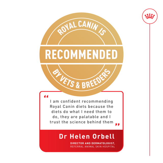 Royal Canin Vet Gastrointestinal Fibre Response Wet Cat Food Pack - Product Image 7