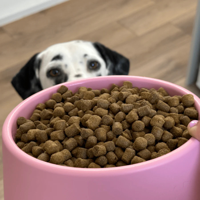 Beco Steady Dog Bowl  - Product Image 5