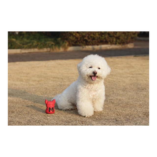 M-PETS Power Chew Dog Tough Toy - Product Image 8