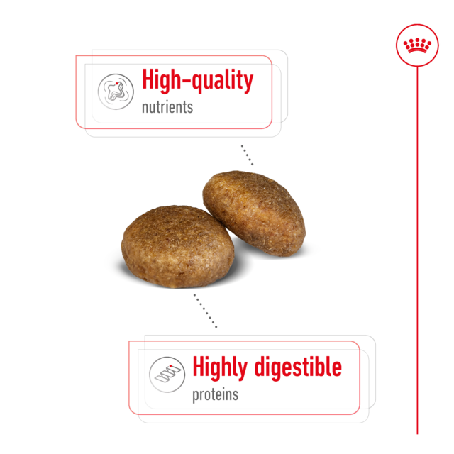 Royal Canin Maxi Adult Dry Dog Food - Product Image 3