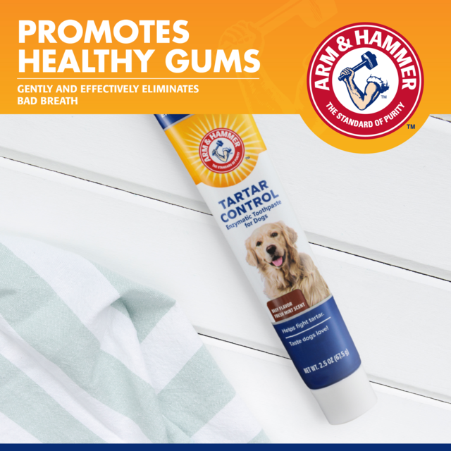 Arm & Hammer Tartar Control Beef Enzymatic Toothpaste for Dogs - Product Image 2