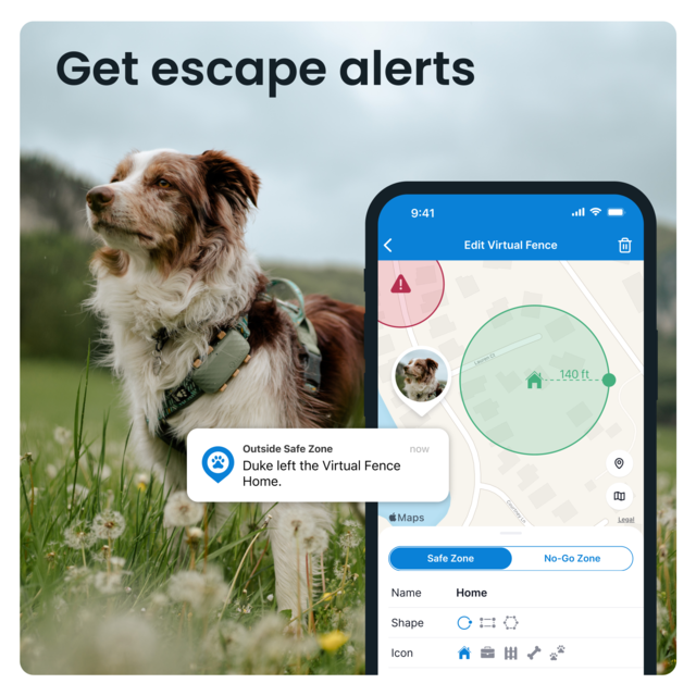 Tractive Dog XL GPS Tracker - Product Image 4