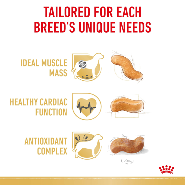 Royal Canin Boxer Adult Dry Dog Food - Product Image 4