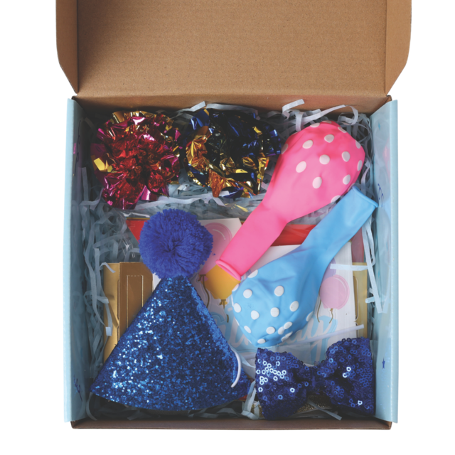 M-PETS Party Time Gentleman Birthday Party Pack For Cats - Product Image 1