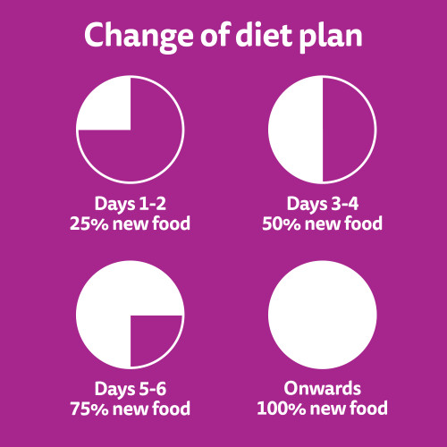 Whiskas Adult Sardine & Prawn Dry Cat Food - Product Image 10