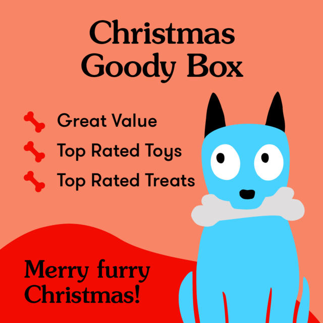 PetDirect Goody Box Christmas for Dogs - Product Image 1