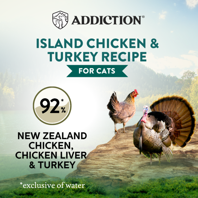 Addiction Wild Islands Island Chicken & Turkey Grain-Free Wet Cat Food - Product Image 2