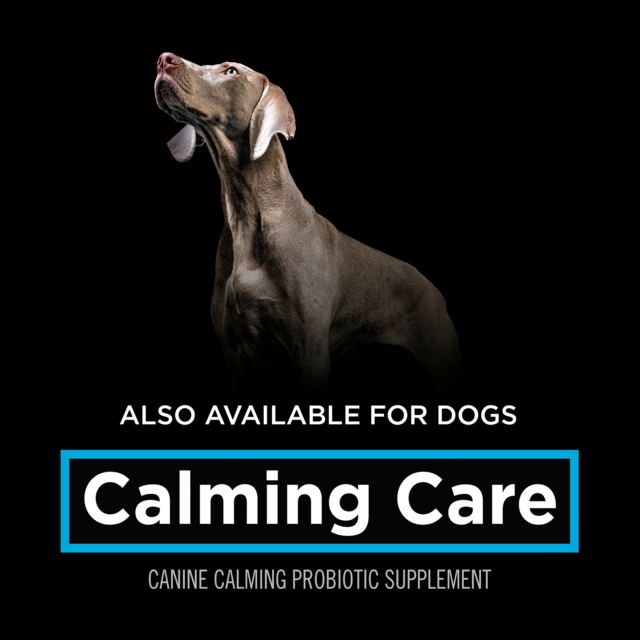 PRO PLAN Veterinary Diet Calming Care Cat Probiotic Supplement - Product Image 4