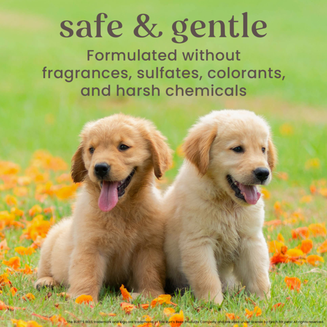 Burt's Bees Itch Soothing Dog Shampoo - Product Image 5