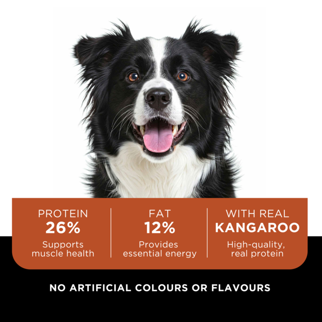 Wild Paw Adult Active Kangaroo Dry Dog Food - Product Image 1