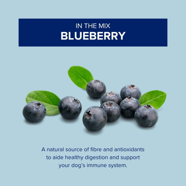 Hypro Premium Grain Free Adult Ocean Fish Dry Dog Food - Product Image 3