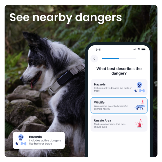 Tractive Dog 6 GPS  and Health Tracker  - Product Image 6