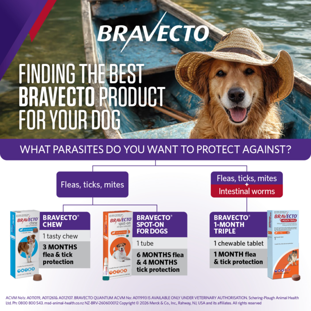 Bravecto 1 Month Triple Flea & Worm Treatment for Dogs - Product Image 6