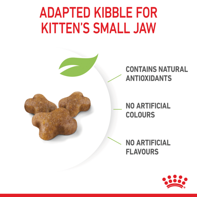 Royal Canin Kitten Dry Cat Food Trial Bag - Product Image 3