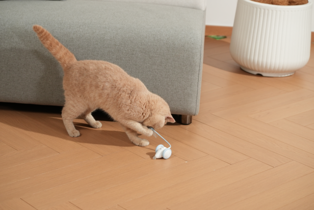 Cheerble Wicked Mouse Neo Smart Cat Toy - Product Image 8