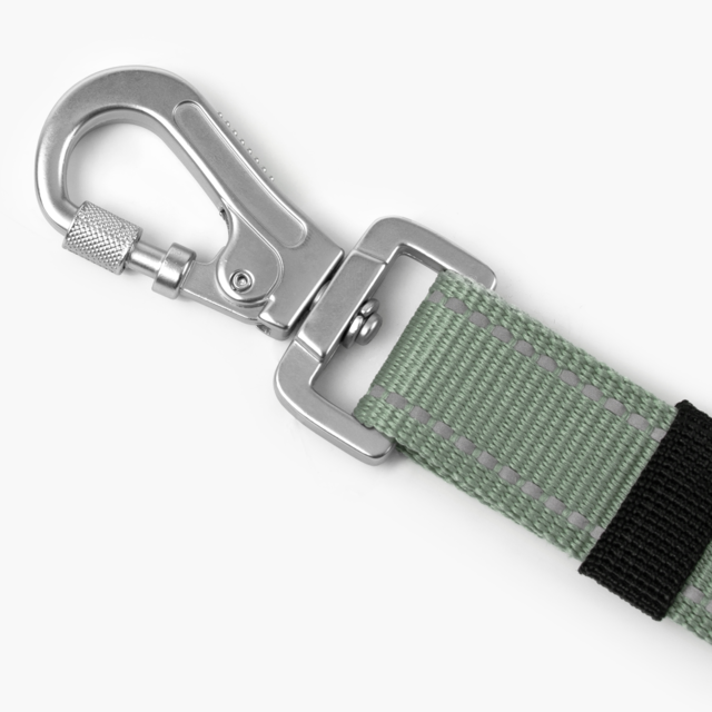 Dog Friendly Co. Premium Bungee Dog Leash  - Product Image 5
