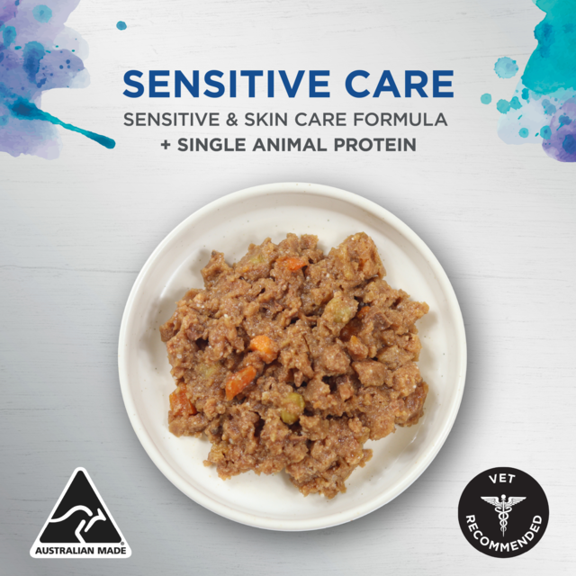 Ivory Coat Raw Health Sensitive Care Lamb & Vegetables Adult Wet Dog Food - Product Image 1