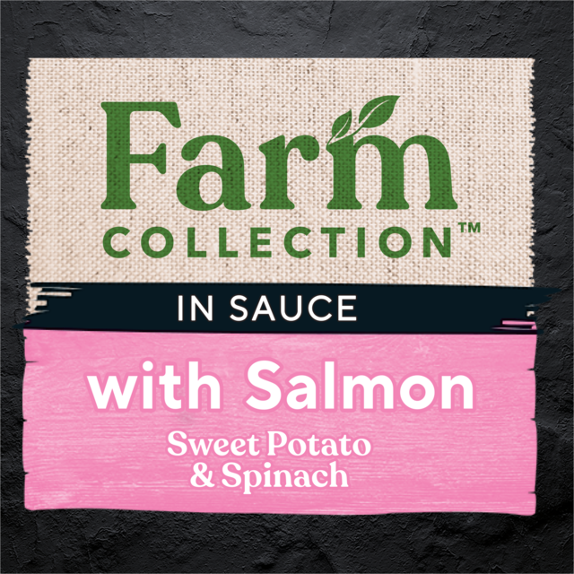 Dine Farm Collection with Salmon, Sweet Potato & Spinach Wet Cat Food - Product Image 3