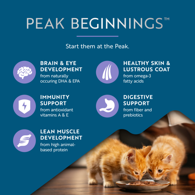 ZIWI Peak Kitten Beef & Mackerel Wet Cat Food - Product Image 6