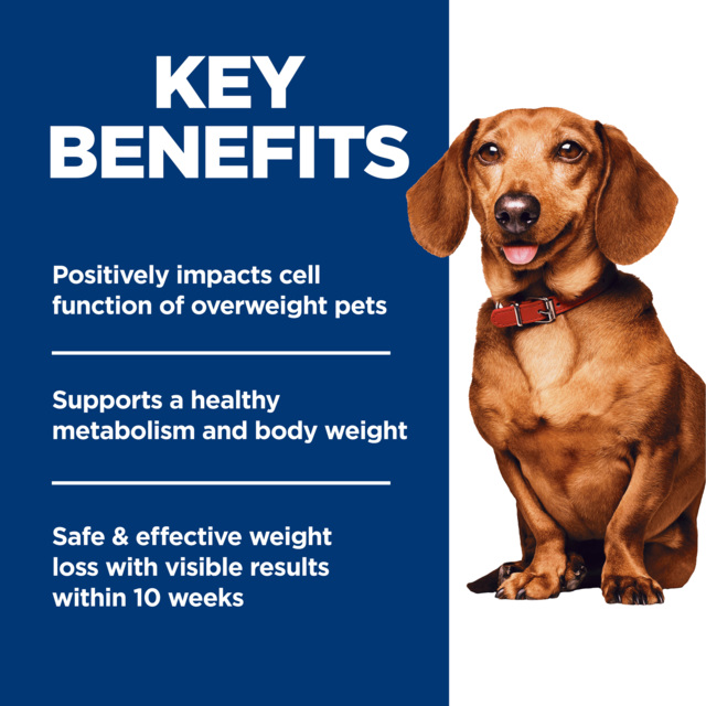 Hill's Science Diet Adult Perfect Weight Small & Mini Dry Dog Food - Product Image 4