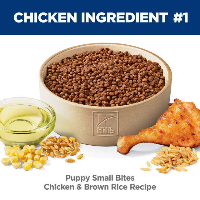 Hill's Science Diet Puppy Small Bites Dry Dog Food - Product Image 11